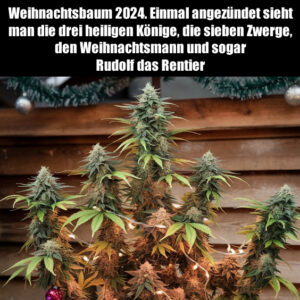 Weihnachtsbaum 2024. Einmal angezündet sieht man die drei heiligen Könige, die sieben Zwerge, den Weihnachtsmann und sogar Rudolf das Rentier