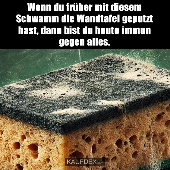 Wenn du früher mit diesem Schwamm die Wandtafel geputzt hast, dann bist du heute immun gegen alles.