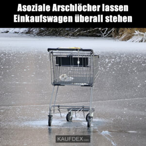 Asoziale Arschlöcher lassen Einkaufswagen überall stehen
