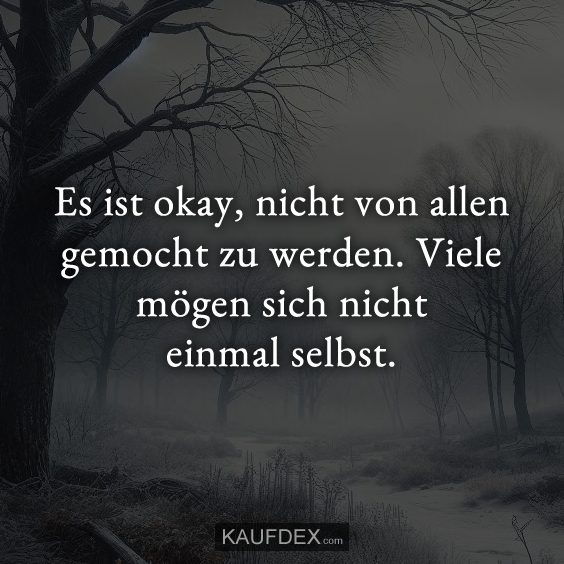 Es ist okay, nicht von allen gemocht zu werden. Viele mögen sich nicht einmal selbst.