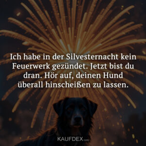 Ich habe in der Silvesternacht kein Feuerwerk gezündet. Jetzt bist du dran. Hör auf, deinen Hund überall hinscheißen zu lassen.