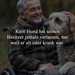 Kein Hund hat seinen Besitzer jemals verlassen, nur weil er alt oder krank war.