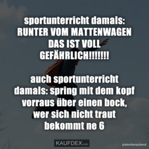sportunterricht damals: RUNTER VOM MATTENWAGEN DAS IST VOLL GEFÄHRLICH!!!!!!! auch sportunterricht damals: spring mit dem kopf vorraus über einen bock, wer sich nicht traut bekommt ne 6