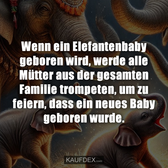 Wenn ein Elefantenbaby geboren wird, werde alle Mütter aus der gesamten Familie trompeten, um zu feiern, dass ein neues Baby geboren wurde.