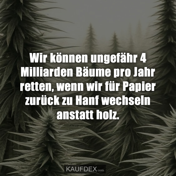 Wir können ungefähr 4 Milliarden Bäume pro Jahr retten, wenn wir für Papier zurück zu Hanf wechseln anstatt holz.