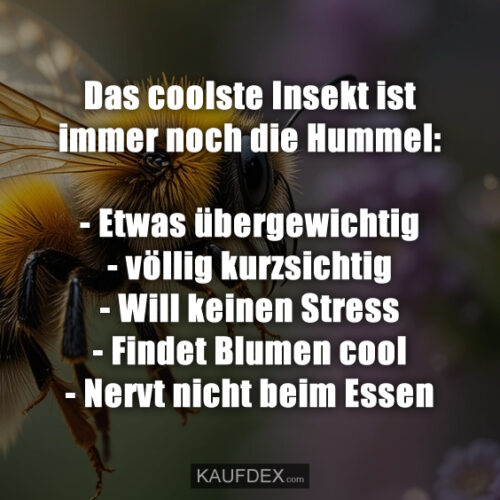 Das Coolste Insekt Ist Immer Noch Die Hummel