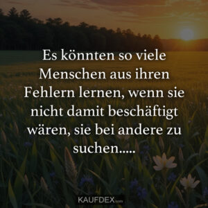 Es könnten so viele Menschen aus ihren Fehlern lernen, wenn sie nicht damit beschäftigt wären, sie bei andere zu suchen.....