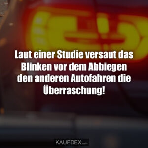 Laut einer Studie versaut das Blinken vor dem Abbiegen den anderen Autofahren die Überraschung!