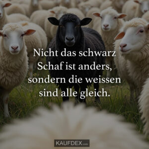 Nicht das schwarz Schaf ist anders, sondern die weissen sind alle gleich.