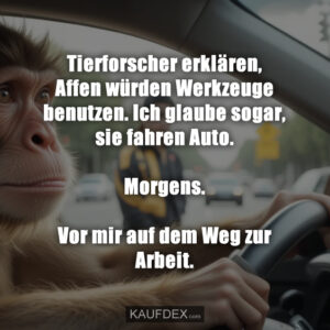 Tierforscher erklären, Affen würden Werkzeuge benutzen. Ich glaube sogar, sie fahren Auto. Morgens. Vor mir auf dem Weg zur Arbeit.