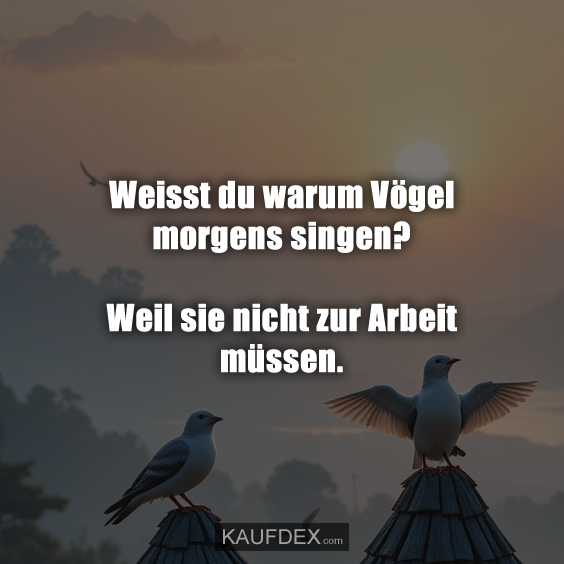 Weisst du warum Vögel morgens singen? Weil sie nicht zur Arbeit müssen.
