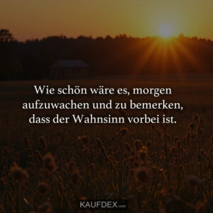 Wie schön wäre es, morgen aufzuwachen und zu bemerken, dass der Wahnsinn vorbei ist.