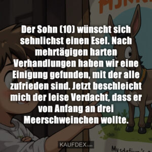 Der Sohn (10) wünscht sich sehnlichst einen Esel. Nach mehrtägigen harten Verhandlungen haben wir eine Einigung gefunden, mit der alle zufrieden sind. Jetzt beschleicht mich der leise Verdacht, dass er von Anfang an drei Meerschweinchen wollte.