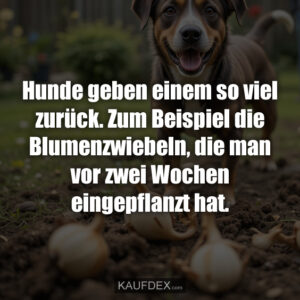 Hunde geben einem so viel zurück. Zum Beispiel die Blumenzwiebeln, die man vor zwei Wochen eingepflanzt hat.