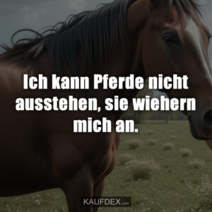 Ich kann Pferde nicht ausstehen, sie wiehern mich an.