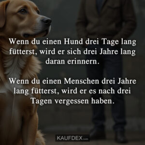 Wenn du einen Hund drei Tage lang fütterst, wird er sich drei Jahre lang daran erinnern. Wenn du einen Menschen drei Jahre lang fütterst, wird er es nach drei Tagen vergessen haben.