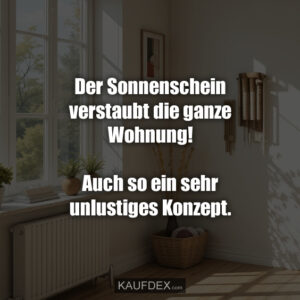 Der Sonnenschein verstaubt die ganze Wohnung! Auch so ein sehr unlustiges Konzept.