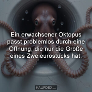 #oktopus #anatomie #flexibilität #zweieurostück #größe #tierwelt #meerestiere #biologie #wissen #kurios #sprücheseite #spruchdestages #spruchbilder #kaufdex