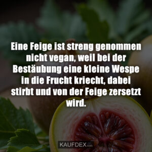 Eine Feige ist streng genommen nicht vegan, weil bei der Bestäubung eine kleine Wespe in die Frucht kriecht, dabei stirbt und von der Feige zersetzt wird.