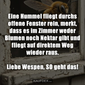 Eine Hummel fliegt durchs offene Fenster rein, merkt, dass es im Zimmer weder Blumen noch Nektar gibt und fliegt auf direktem Weg wieder raus. Liebe Wespen, SO geht das!