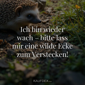 Ich bin wieder wach – bitte lass mir eine wilde Ecke zum Verstecken!