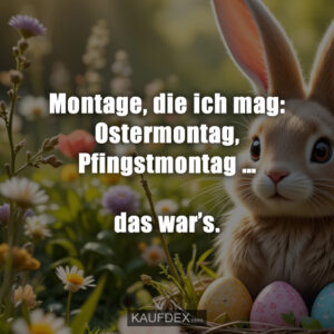 Montage, die ich mag: Ostermontag, Pfingstmontag … das war’s.