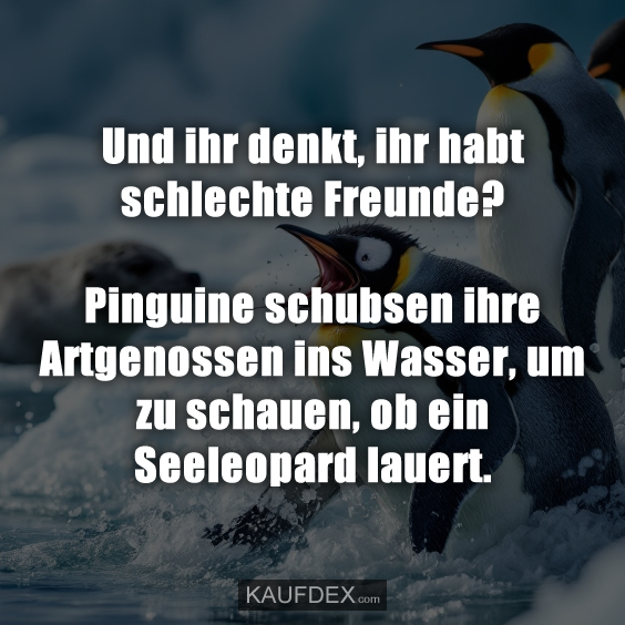Und ihr denkt, ihr habt schlechte Freunde?
