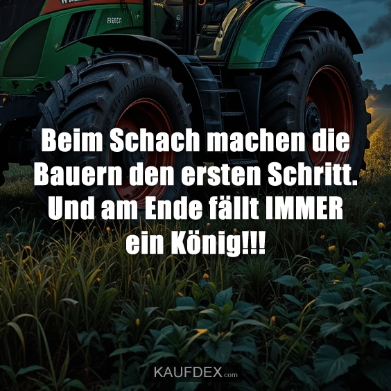 Beim Schach machen die Bauern…