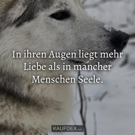 In ihren Augen liegt mehr Liebe als…