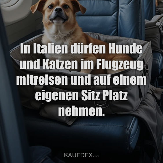 In Italien dürfen Hunde und Katzen…