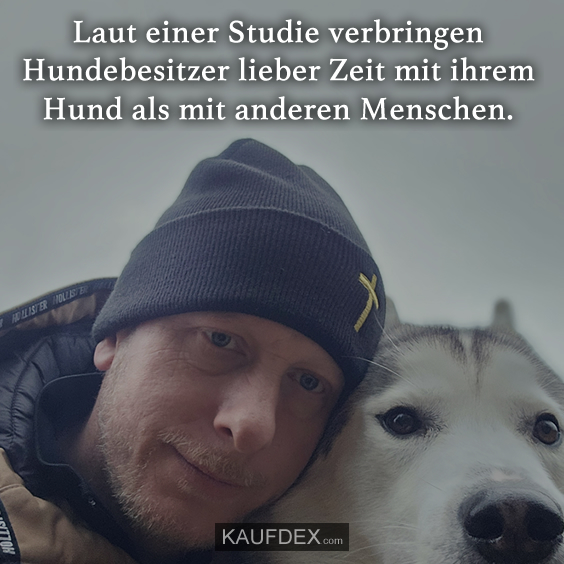 Laut einer Studie verbringen Hundebesitzer…