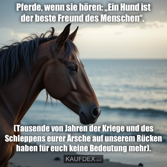 Pferde, wenn sie hören: