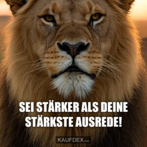 Sei stärker als deine stärkste Ausrede!