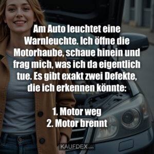 Am Auto leuchtet eine Warnleuchte. Ich öffne die Motorhaube, schaue hinein und frag mich, was ich da eigentlich tue. Es gibt exakt zwei Defekte, die ich erkennen könnte: 1. Motor weg 2. Motor brennt