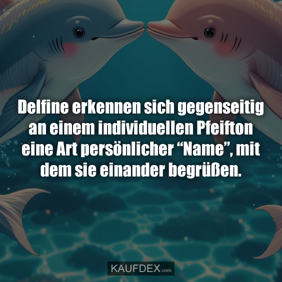 Delfine erkennen sich gegenseitig an einem individuellen…