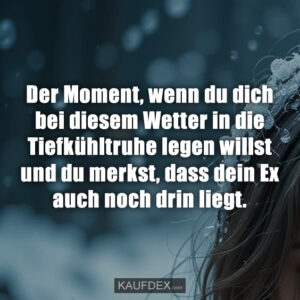 Der Moment, wenn du dich bei diesem Wetter in die Tiefkühltruhe legen willst und du merkst, dass dein Ex auch noch drin liegt.