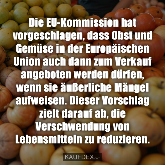 Die EU-Kommission hat vorgeschlagen…