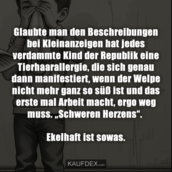 Glaubte man den Beschreibungen bei Kleinanzeigen…