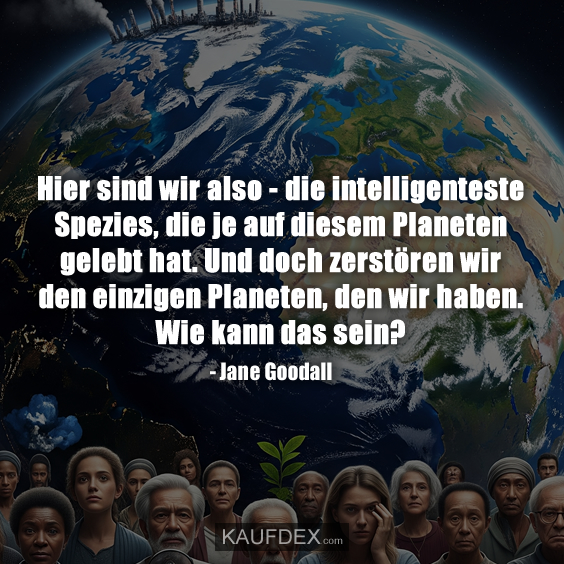 Hier sind wir also – die intelligenteste Spezies…