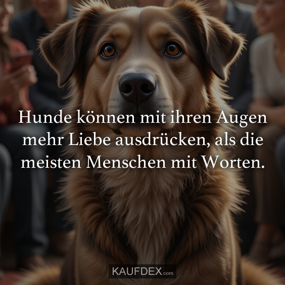 Hunde können mit ihren Augen mehr Liebe…