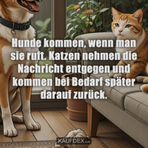 Hunde kommen, wenn man sie ruft. Katzen nehmen die Nachricht entgegen und kommen bei Bedarf später darauf zurück.