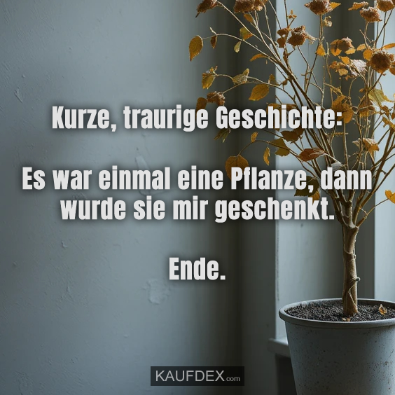 Kurze, traurige Geschichte: