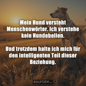 Mein Hund verstеht Menschenwörter. Ich verstehe kein Hundebellen. Und trotzdem halte ich mich für den intelligenten Teil dieser Beziehung.