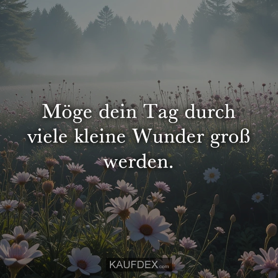 Möge dein Tag durch viele kleine Wunder groß werden
