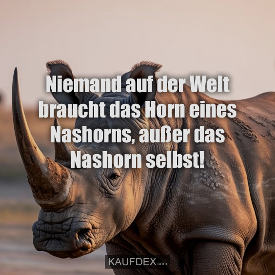 Niemand auf der Welt braucht das…