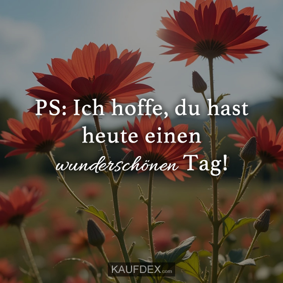 PS: Ich hoffe, du hast heute einen…