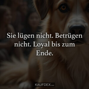 Sie lügen nicht. Betrügen nicht. Loyal bis zum Ende.