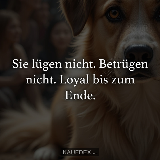 Sie lügen nicht. Betrügen nicht…
