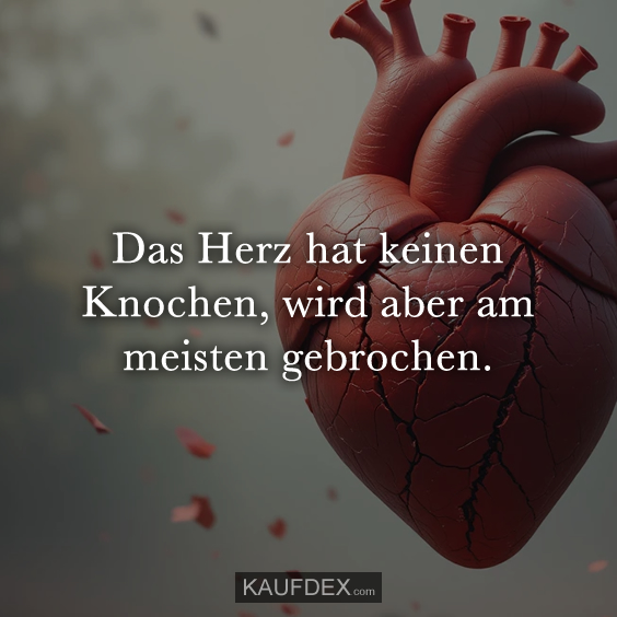 Das Herz hat keinen Knochen, wird aber…