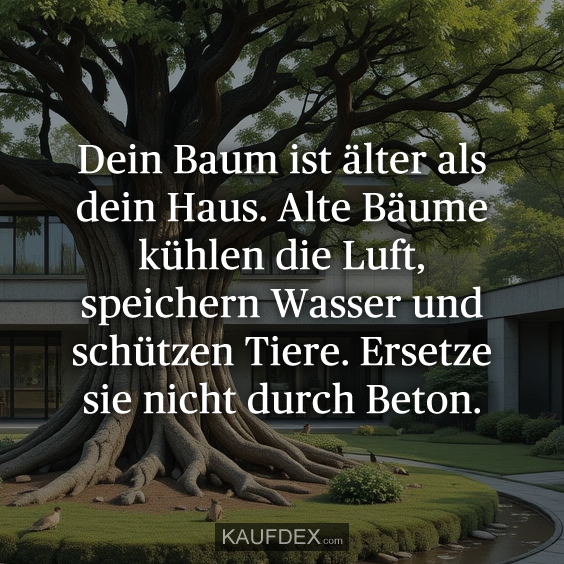 Dein Baum ist älter als dein Haus…